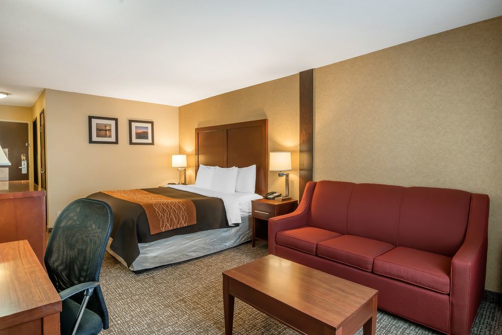 Comfort Inn & Suites Vancouver Downtown City Center Exterior foto